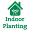 Indoor Planting