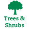 Trees & Shurbs