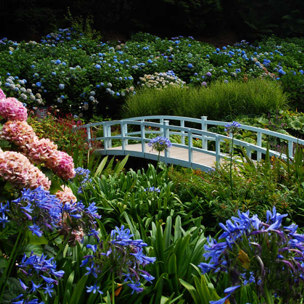 Beds & Border Blended Topsoil - Image 3