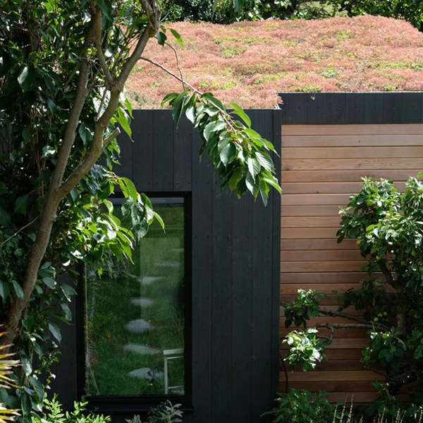 Extensive Lightweight Green Roof Substrate - Image 3