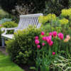 Organic Blended Topsoil - Image 4