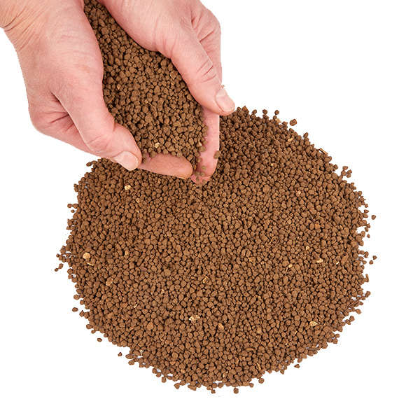 Sterilised Kettering Loam - Image 3