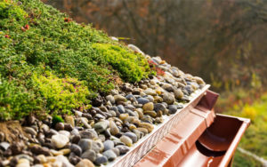 Green Roofs