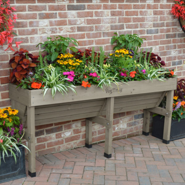 VegTrug WallHugger Medium - Image 3