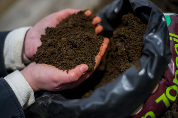 The Real Soil Company Vegetable & Fruit Topsoil - Image 3