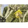 3 x Nutpecker Feeders and Jars - Image 2