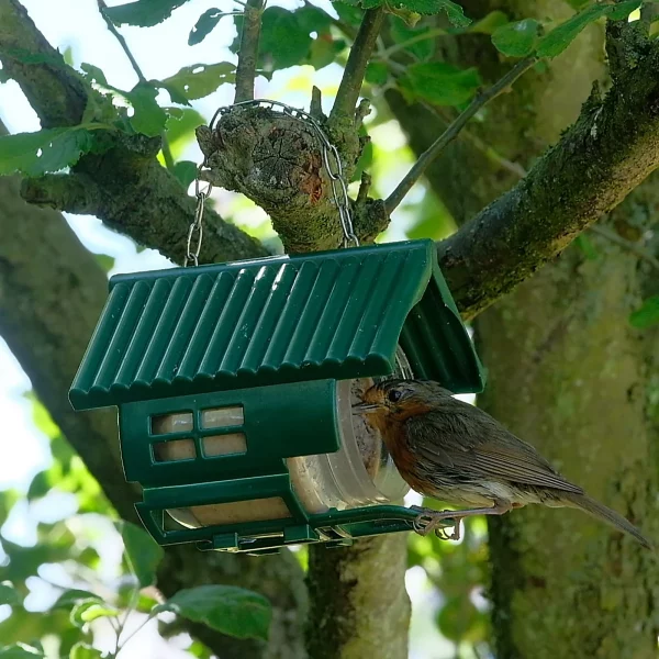 3 x Nutpecker Feeders and Jars - Image 4