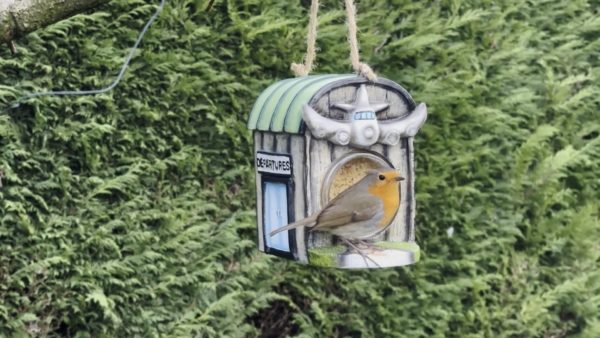 Polyresin Nutpecker House with 1 x Jar - Image 6