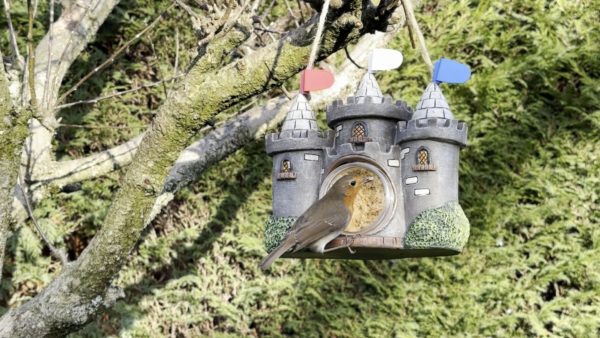 Polyresin Nutpecker House with 1 x Jar - Image 5
