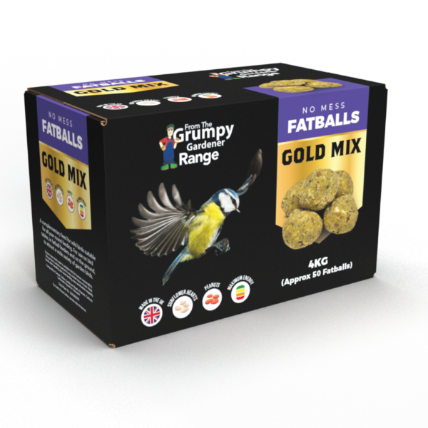 Golden Fatballs – 4kg Box of 50