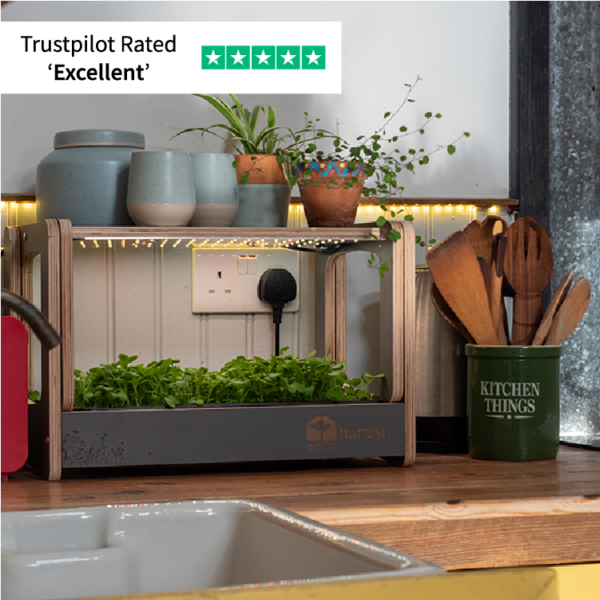 H-Mini Countertop Indoor Garden - Image 7