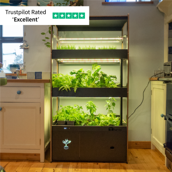 H-Series Indoor Garden - Image 6