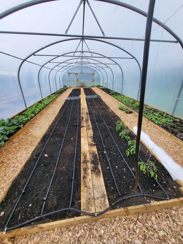 WaterMate Pro automatic greenhouse & polytunnel watering system - Image 7