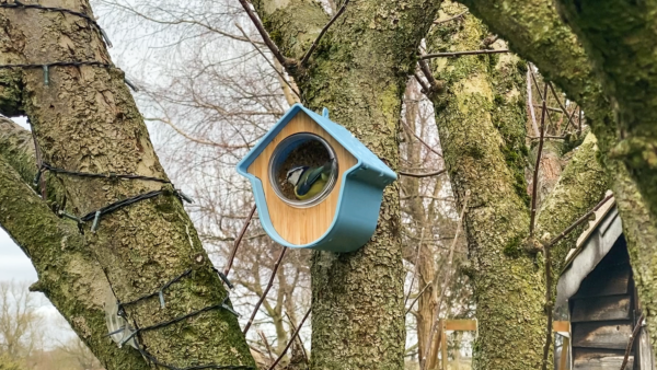 2 in 1 Nutpecker Feeding House with Food - Image 5