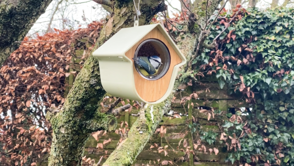2 in 1 Nutpecker Feeding House with Food - Image 4