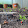 WaterMate Mini automatic greenhouse watering kit - Image 8