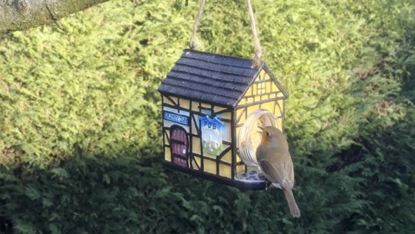 Polyresin Nutpecker House with 1 x Jar - Image 4
