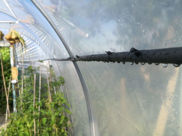 WaterMate Pro automatic greenhouse & polytunnel watering system - Image 14